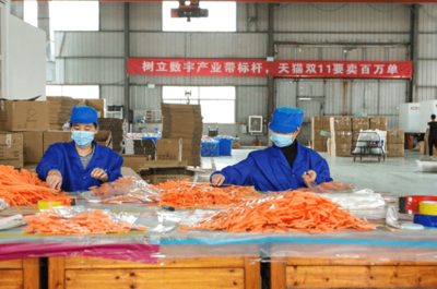 天猫双11首战告捷 产业带火力全开，日用百货彰显消费活力